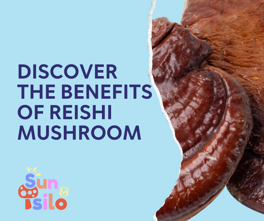 The Marvelous Reishi Mushroom: Nature's Gift for Vitality and Well-Being