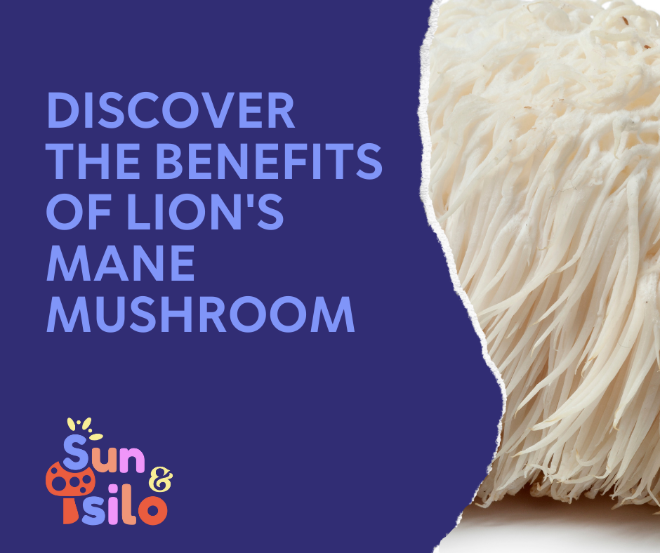 Unveiling the Wonders of Lion's Mane Mushroom: Health Benefits and More